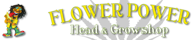 Flowerpower AG