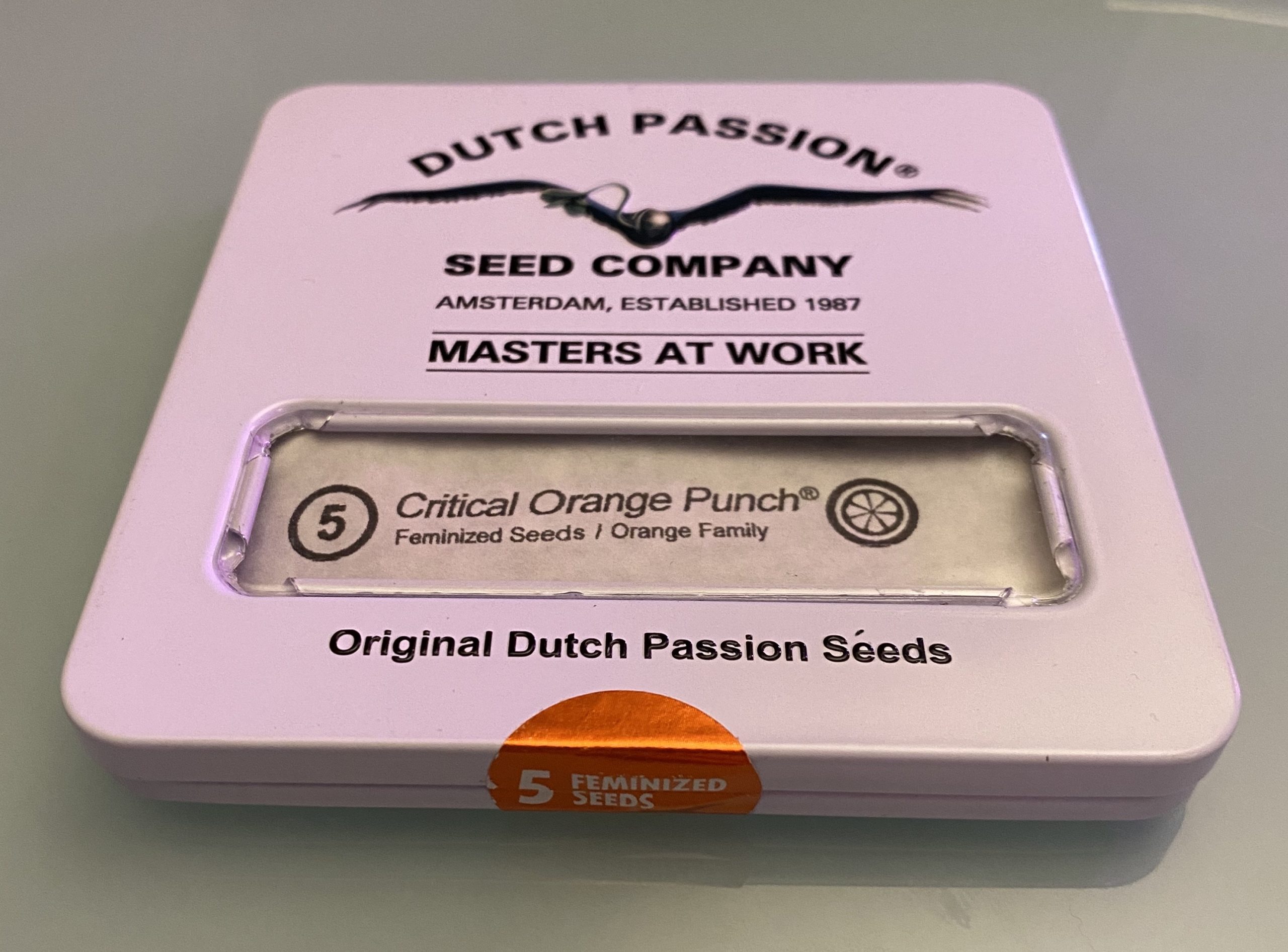 x5 Dutch Passion - "Critical Orange Strike"